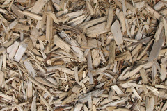 biomass boilers Sildinis