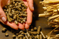 free Sildinis biomass boiler quotes